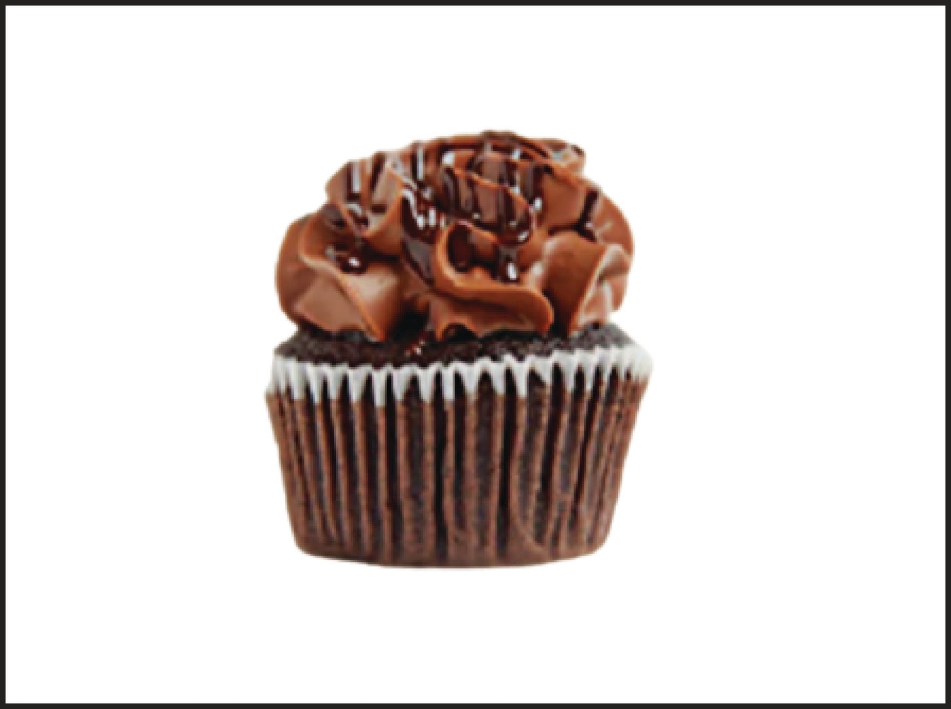 Chocolate cupcakes 朱古力杯子蛋糕 with creamy frosting in Macau