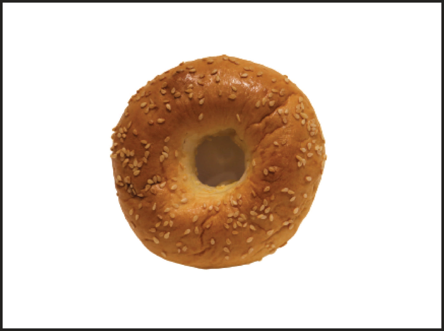 Bagel 貝果
